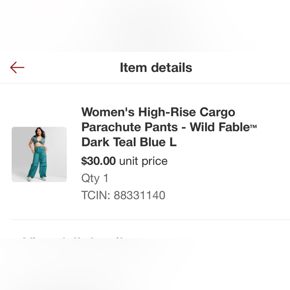 Wild Fable Dark Teal Cargo Pants